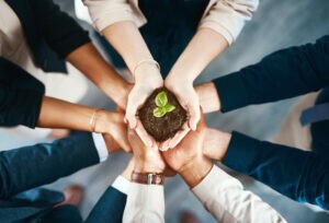 mãos juntas com planta no centro para ilustrar texto sobre sustentabilidade aplicada aos negócios