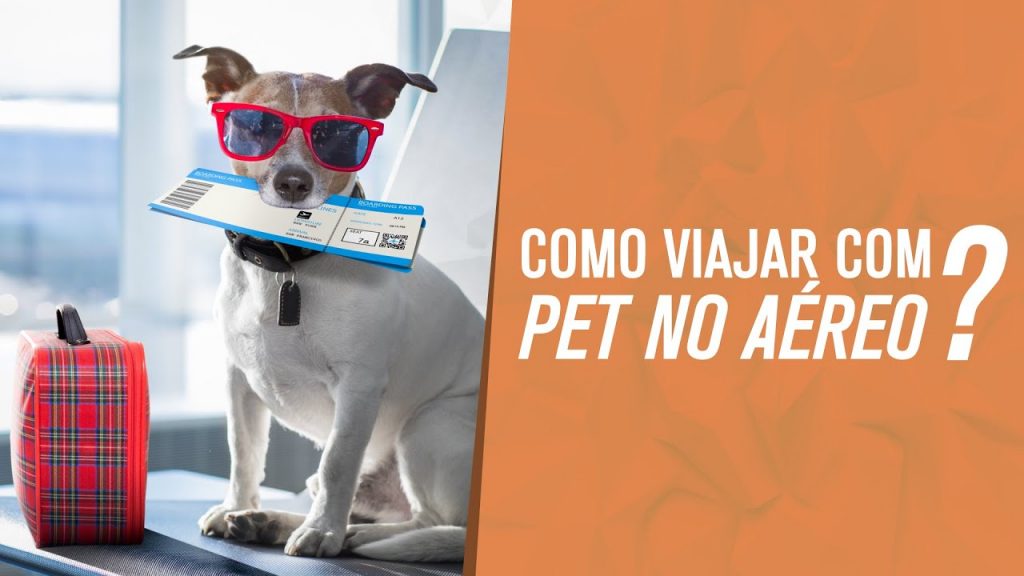 Como viajar com PET de avião