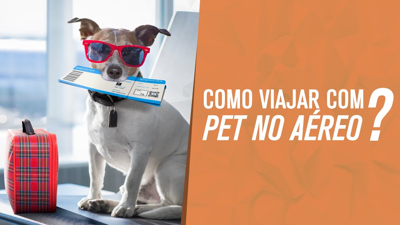 Como viajar com PET de avião