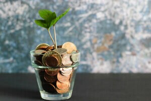 planta em um copo para ilustrar o texto sobre sustentabilidade corporativa