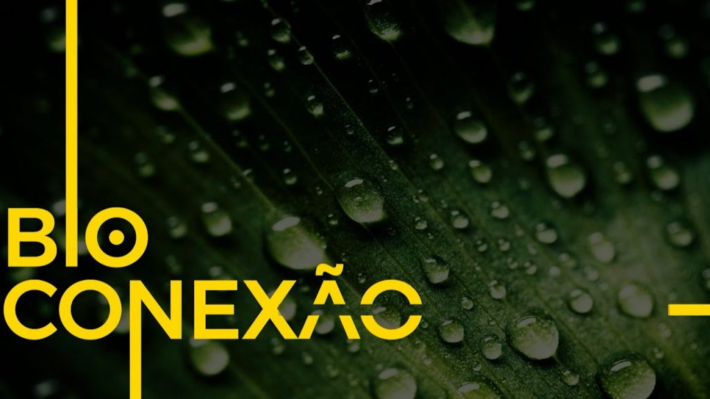 BIOCONEXÃO | Da Amazônia para o mundo