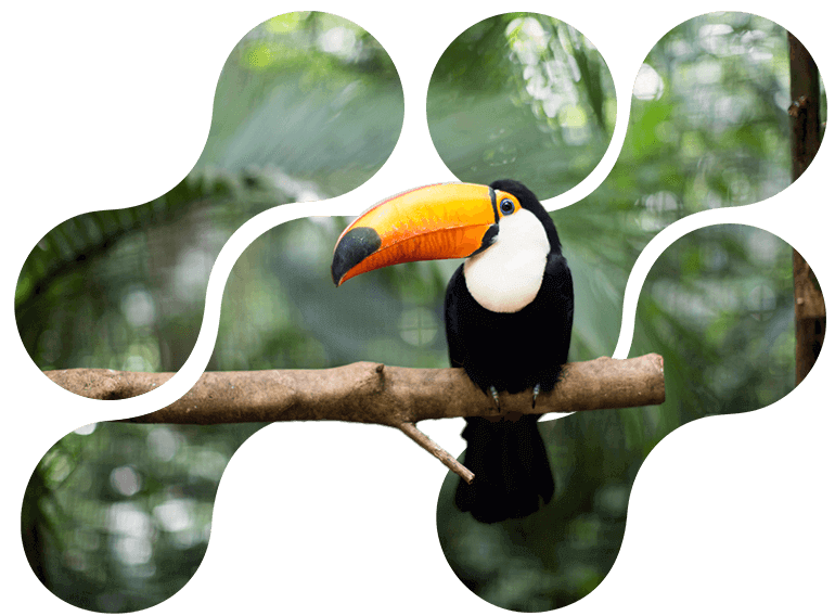 expedição amazônica