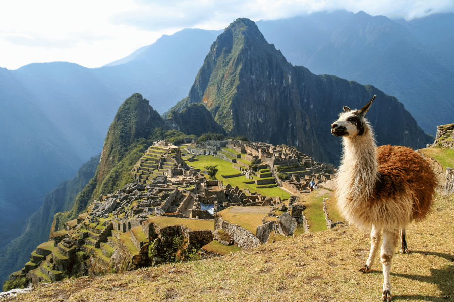 Machu Picchu