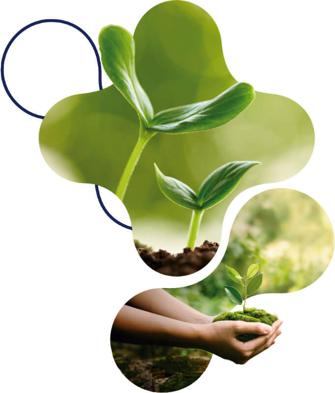 esg ações