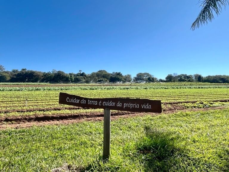 Sítio A Boa Terra (plantação com placa escrita "cuidar da terra é cuidar da própria vida")