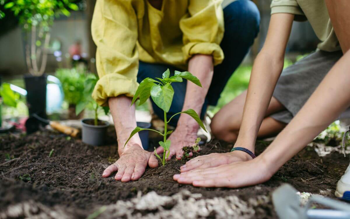 Turismo de experiência na prática: por que as marcas estão trocando roteiro por vivência