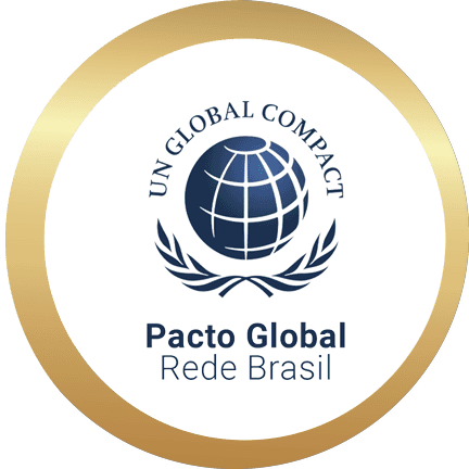 Medalha do Pacto Global, Rede Brasil